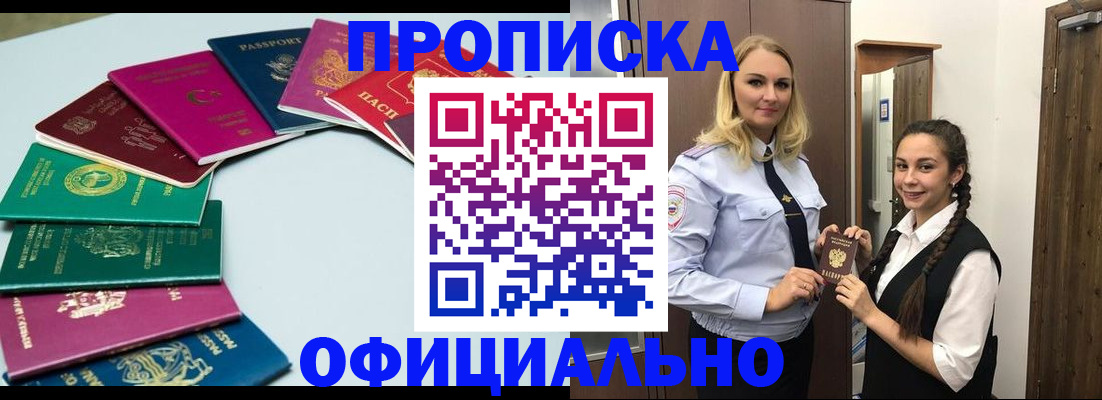 прописка поиск в Дмитрове
